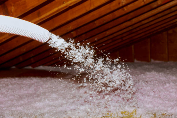 Professional Insulation Contractor in Buckner, MO