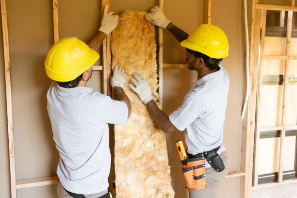 Best Local Insulation Services  in Buckner, MO
