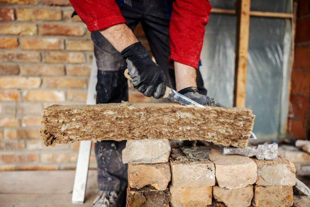 Best Insulation Removal  in Buckner, MO