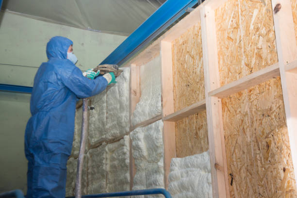 Best Crawl Space Insulation  in Buckner, MO